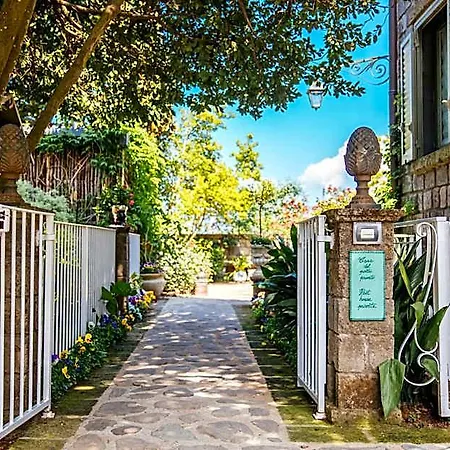 Boutique Don Alfonso 1890